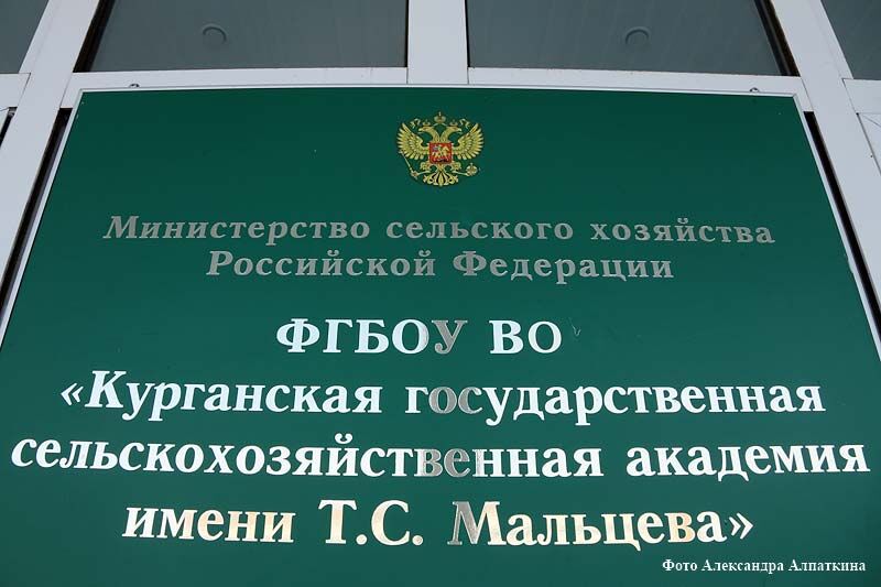 В Кургане сельхозакадемию присоединили к госуниверситету 