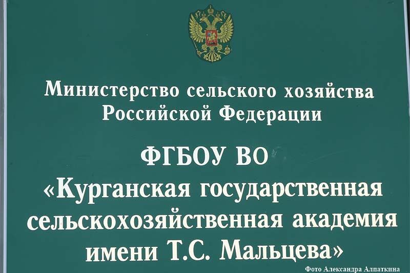 Экс-бухгалтер Курганской сельскохозакадемии осуждена за присвоение более 2,9 млн рублей