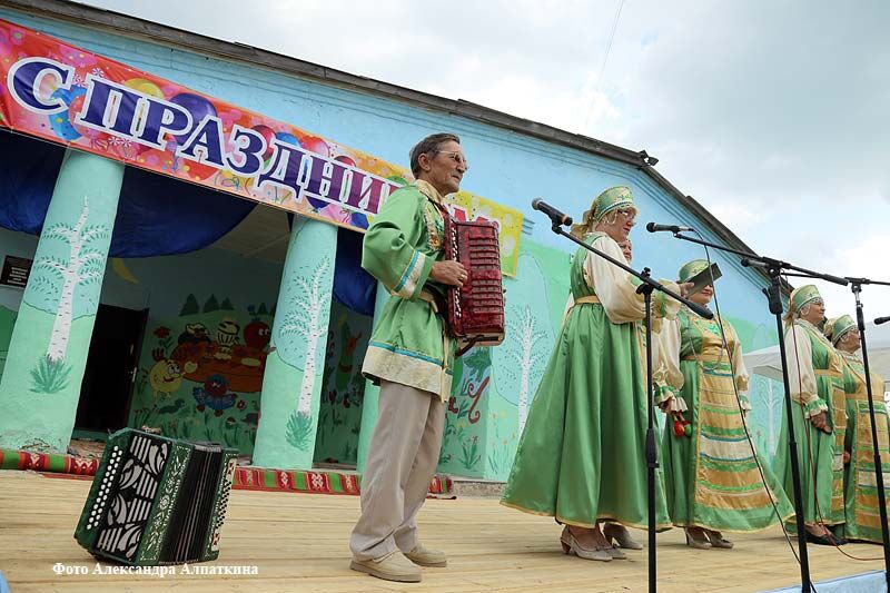 Правительство Курганской области утвердило порядок предоставления и расходования субсидии