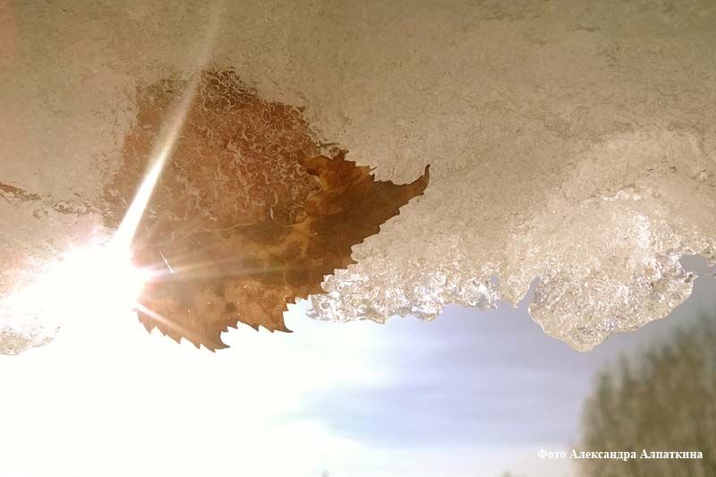 21 декабря – день зимнего солнцестояния