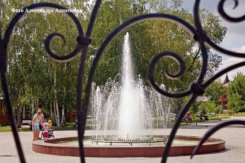 В курганском горсаду украли несколько кустов роз