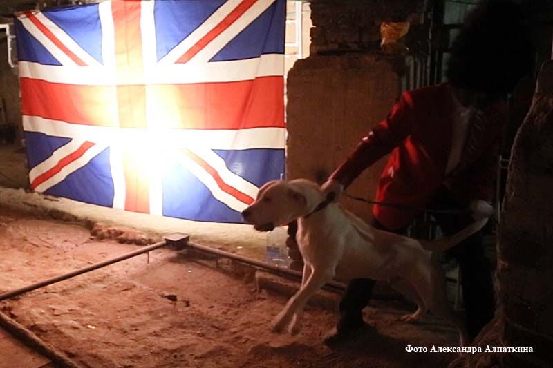 Большая тайна шекспировской трагедии в Кургане