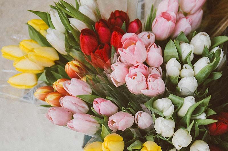 8 Марта – Международный женский день