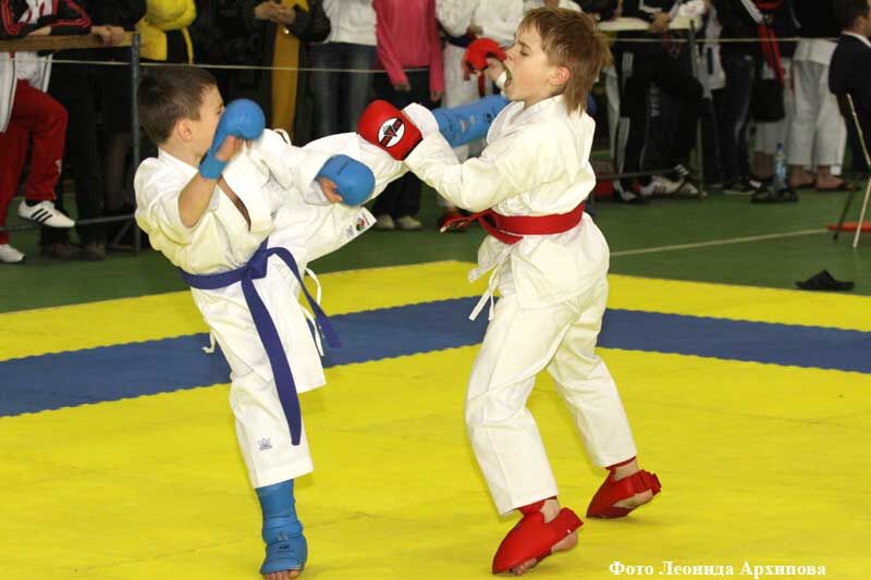 Курганские каратисты завоевали медали на турнире в Челябинске