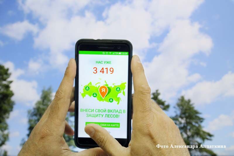 Каждый может спасти лес