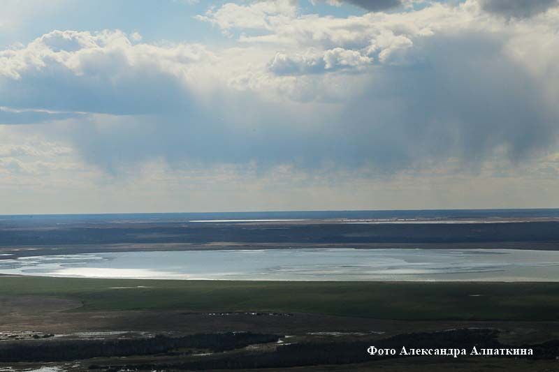 Петуховский «Водоканал» угрожает экологическому благополучию людей