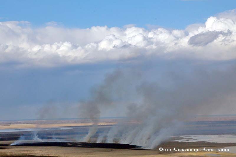 Курганскую область берегут от пожаров с неба