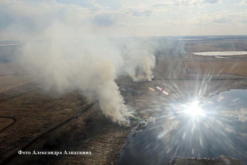 В Курганской области выгорело почти 4,5 тысячи гектаров лесов и 176 тысяч гектаров степей