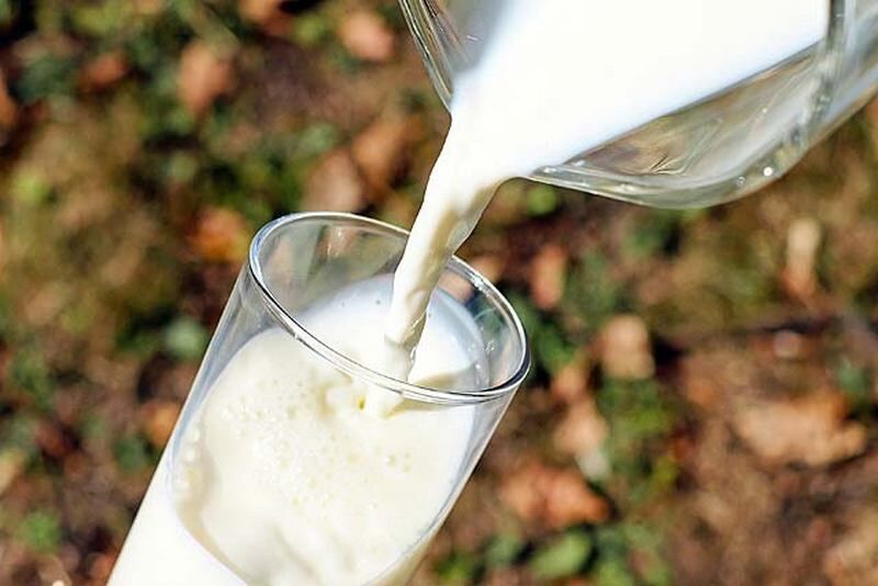 Зауральское молоко под контролем