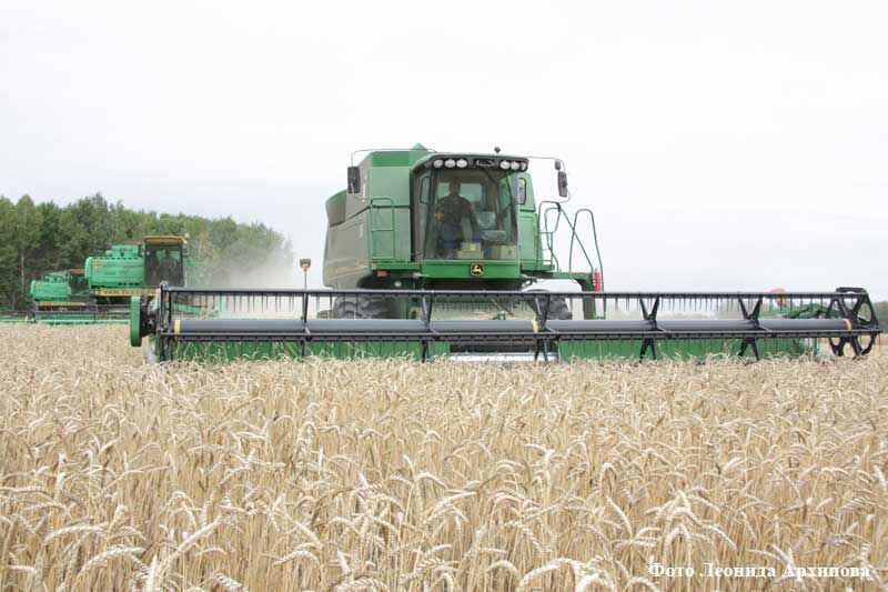 Курганские аграрии завершили уборочную страду