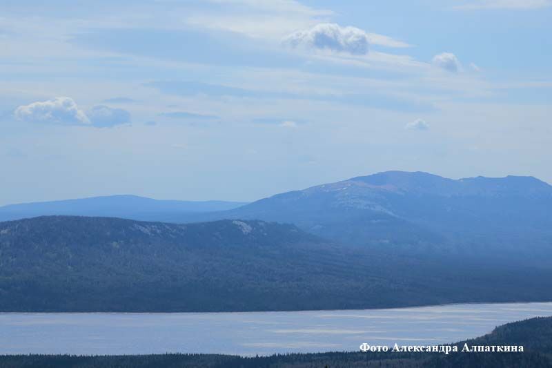 Курганским региональным отделением Фонда социального страхования закуплено более 1000 путевок