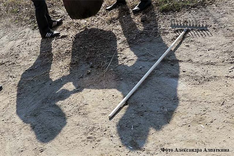В зауральском селе жители сами решили, где должно быть красиво