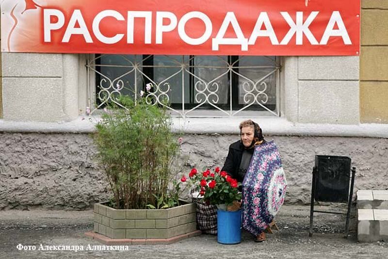 Мобильное приложение для самозанятых будет тестироваться в четырех регионах России