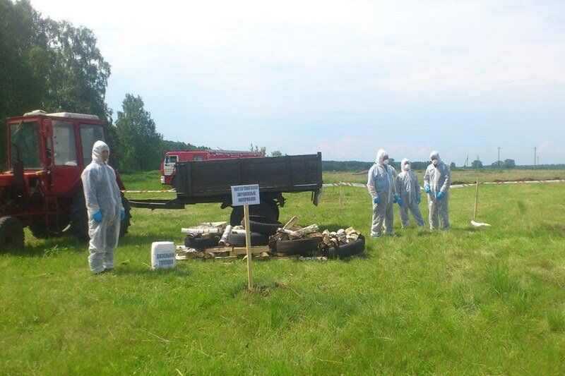 В Курганской области боролись со вспышкой вируса африканской чумы свиней