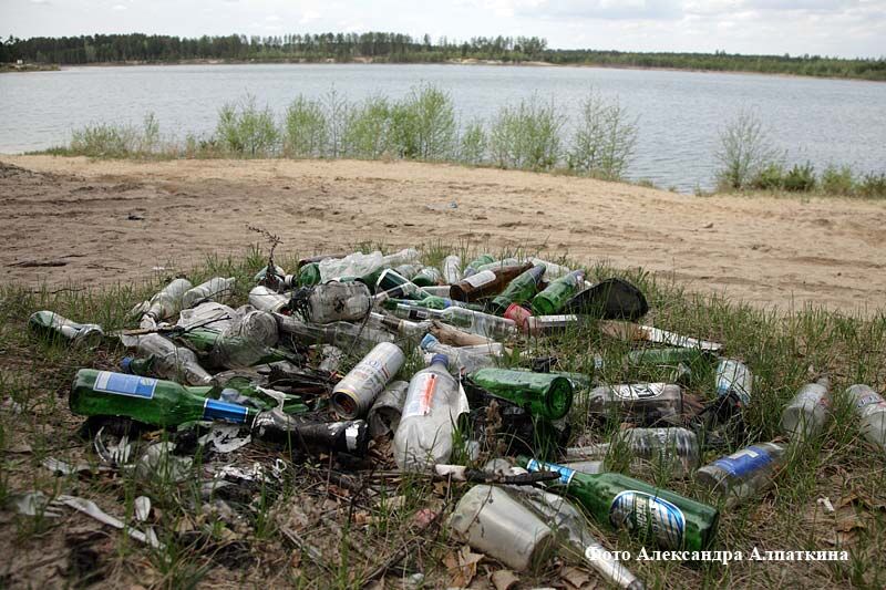 В Курганской области обнаружено 140 несанкционированных свалок