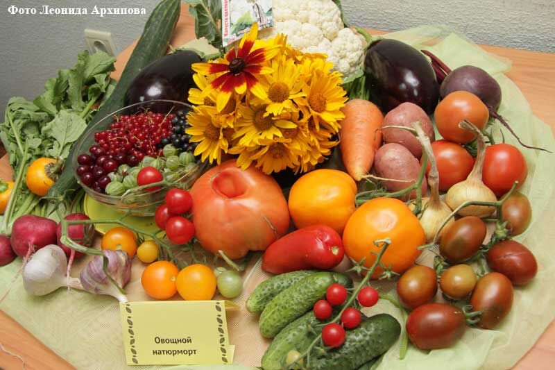 В Кургане открылась выставка «Дары лета»