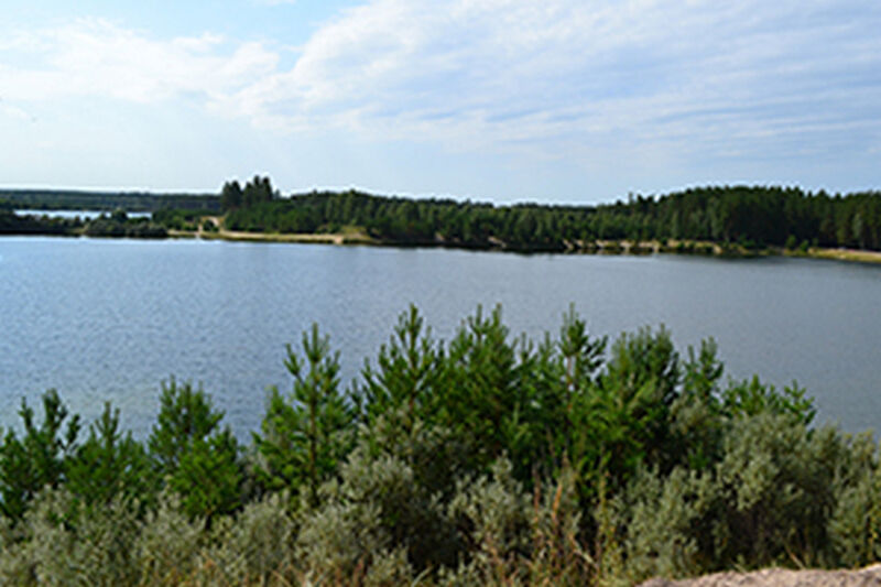 В Зауралье индивидуальный предприниматель самовольно построил пирс на озере Малое Медвежье