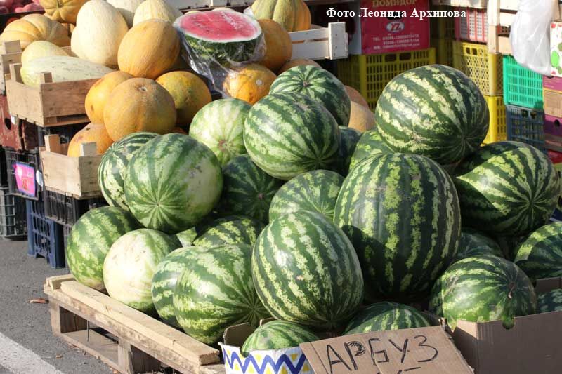 340 килограмм овощей полезны для здоровья