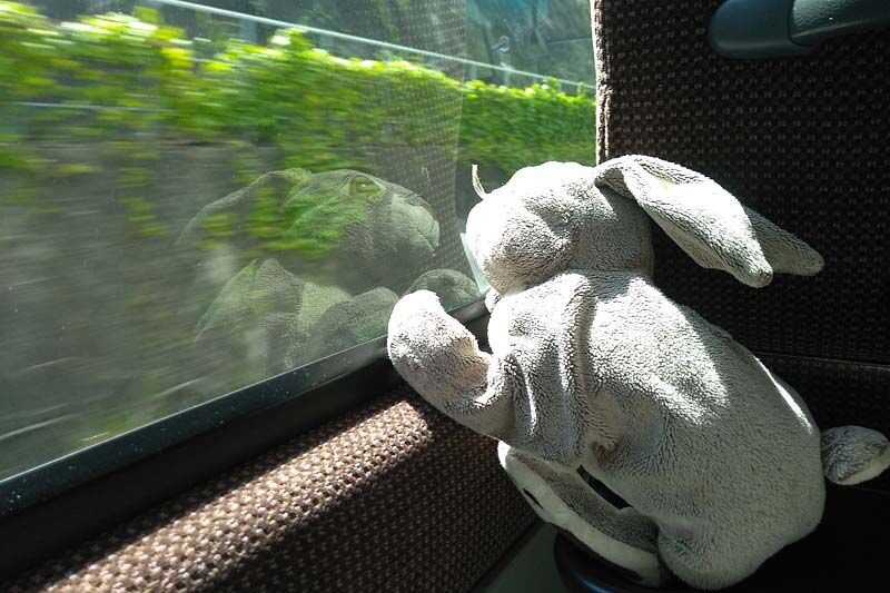 Навигатор досуга в Кургане