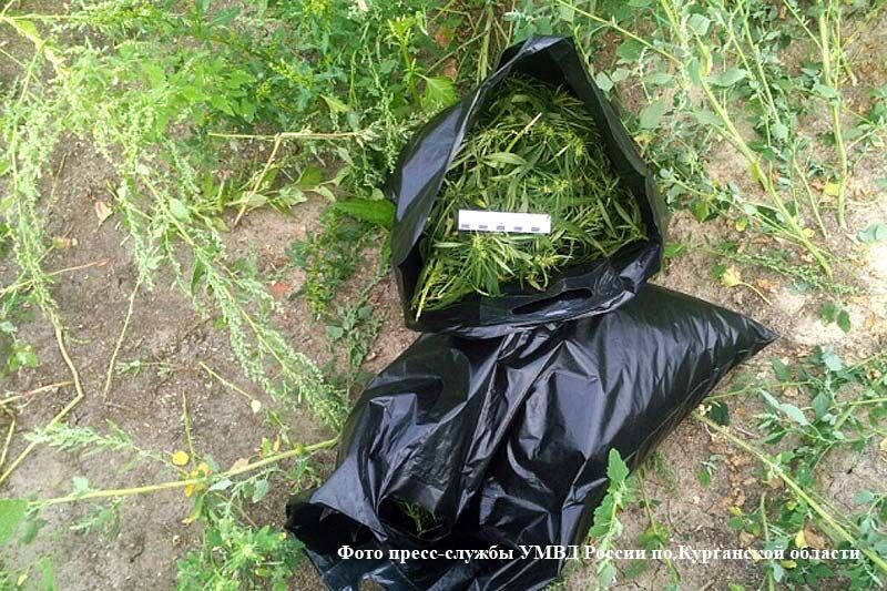 Неработающий мужчина хотел лично употребить два килограмма конопли