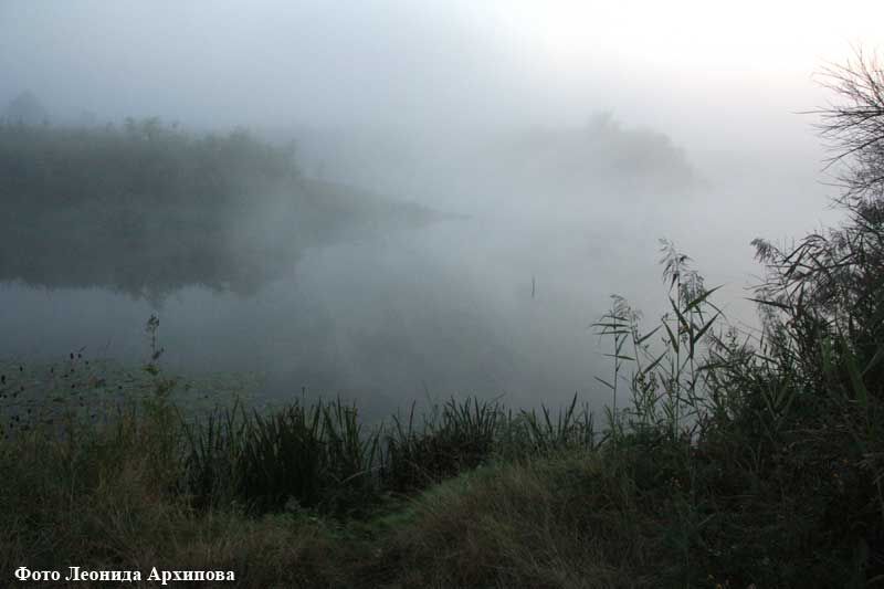 В Курганской области изменены сроки охоты на пернатую дичь