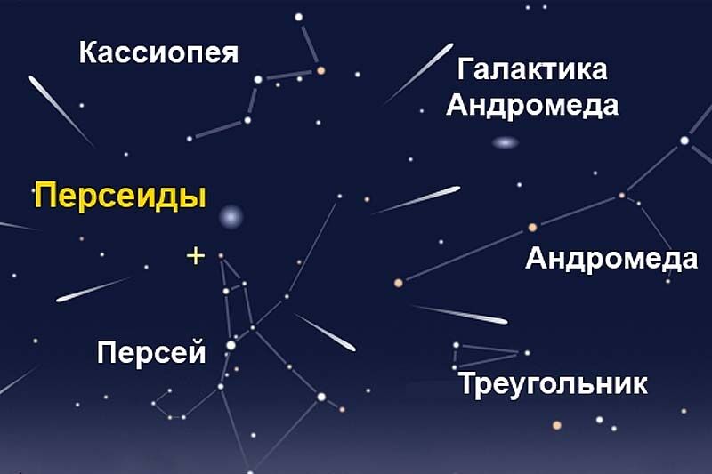 В ночь с 12 на 13 августа курганцы смогут наблюдать метеорный поток Персеиды