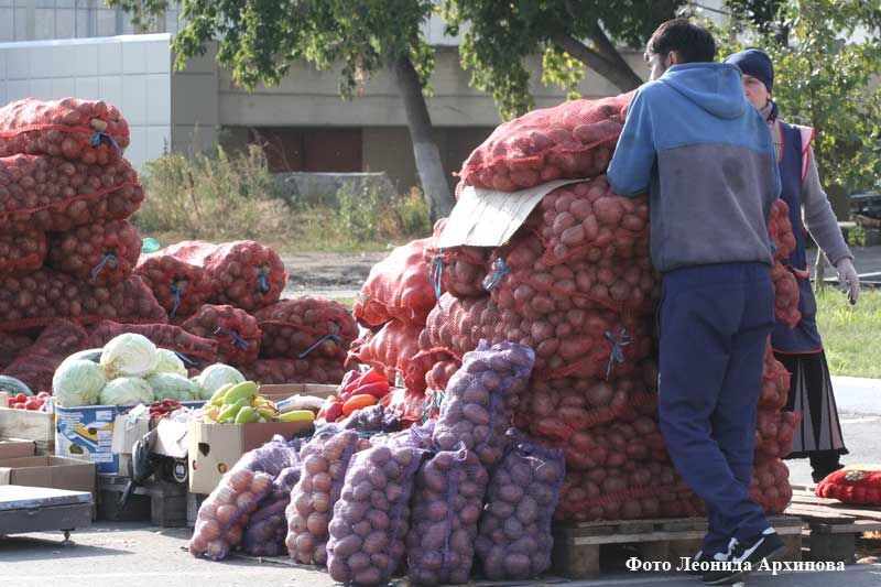 Зауральские фермеры помогают курганским пенсионерам