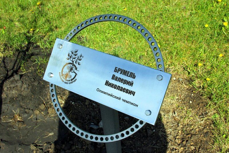 Стадиону «Центральный» торжественно присвоят имя Брумеля