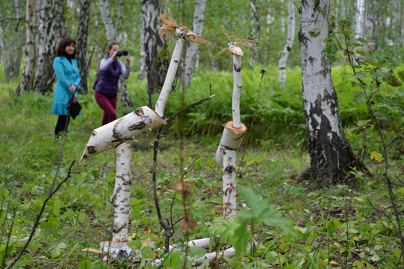 В Кургане жители Рябково включились в борьбу за благоустройство экотропы в городском лесу