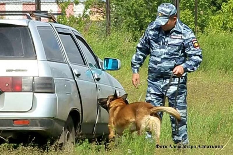 Из-за сообщения о заложенной бомбе в Зауралье эвакуировали 150 человек из больницы