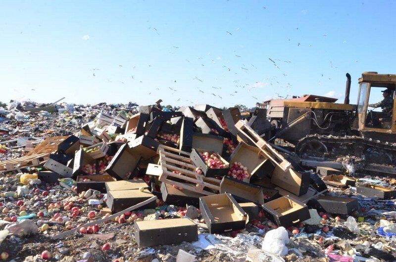 В Кургане уничтожили более шести тонн подозрительных яблок и груш