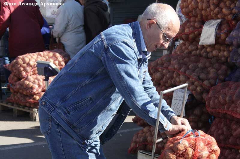 Курганцы тоннами скупают картофель