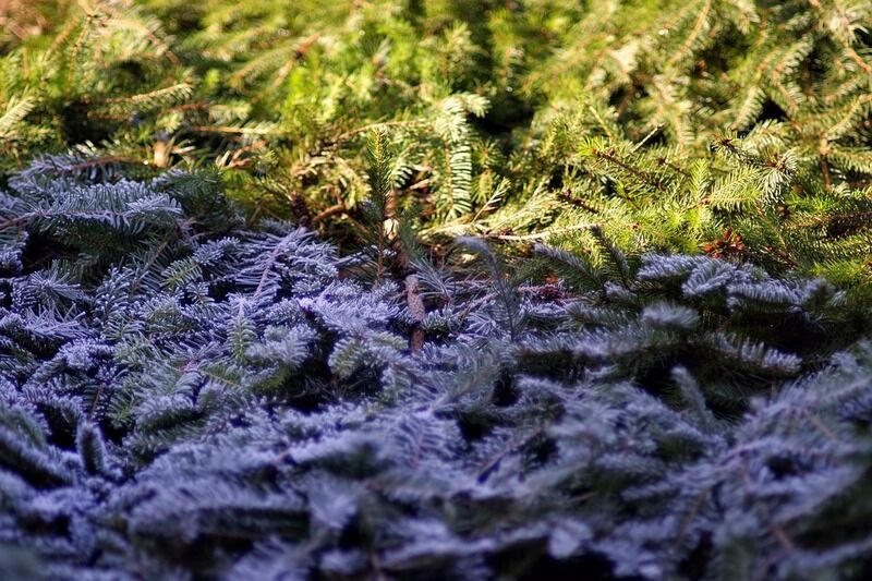 Вторая декада апреля в Кургане будет холоднее первой