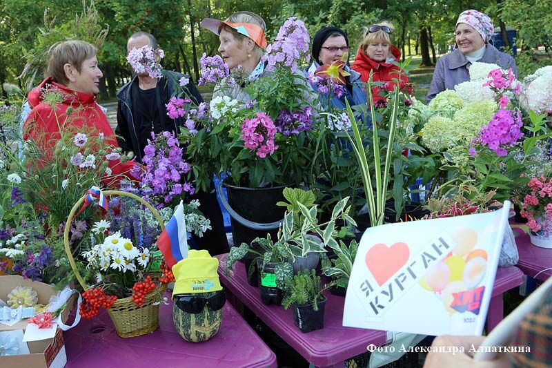 Курганцам предлагают полюбоваться на садовый урожай