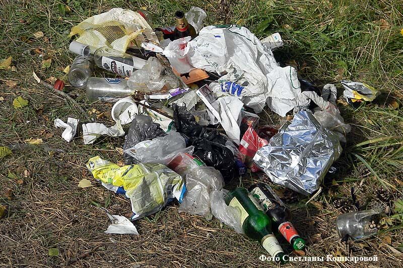 В Зауралье ликвидировали свалку в лесу