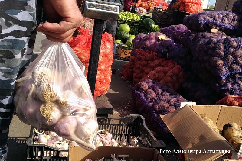 В Кургане открылись сельскохозяйственные ярмарки