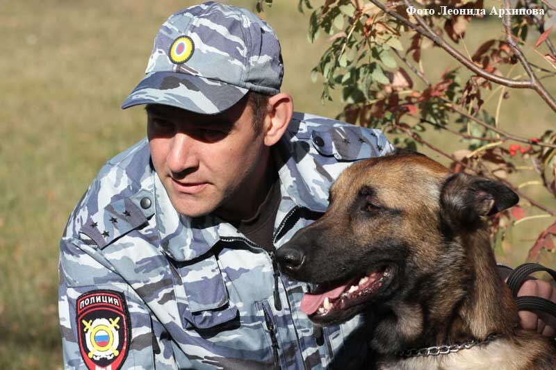 Викинг, Винт и Юкс на службе в полиции