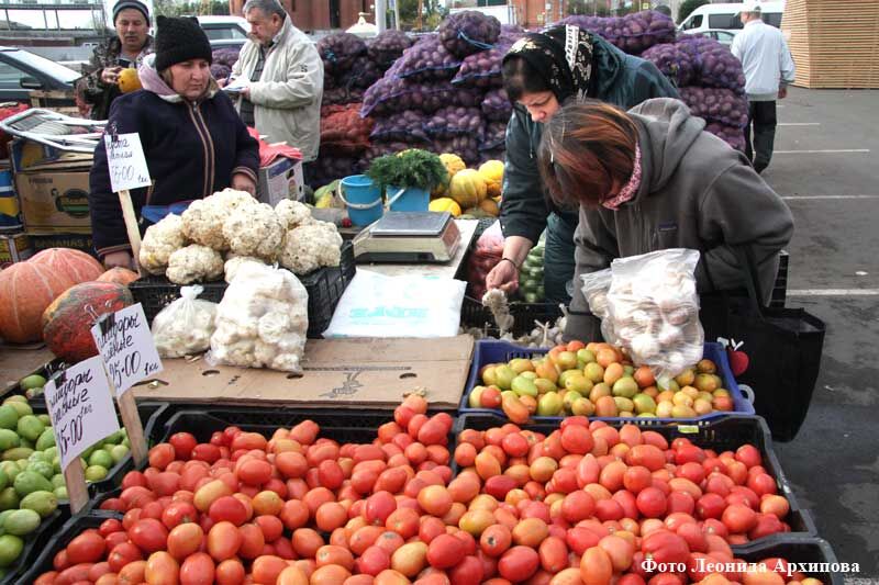 Дары зауральской осени