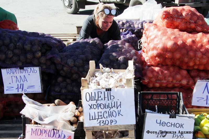 В Кургане с 14 сентября будет работать ярмарка «Дары осени»