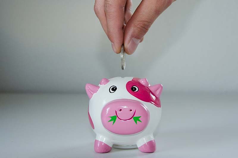 Зауральцы могут бесплатно получить информацию по всем финансовым услугам