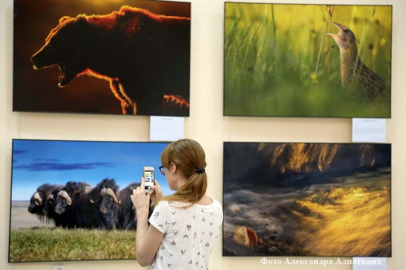 Пациенты Центра Илизарова почувствовали атмосферу «Первозданной России»