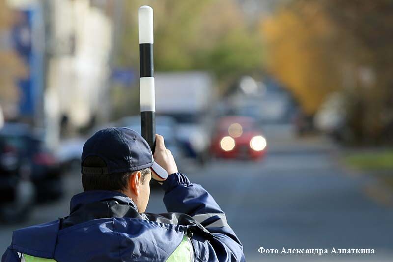 В Кургане объявят «охоту» на нетрезвых водителей