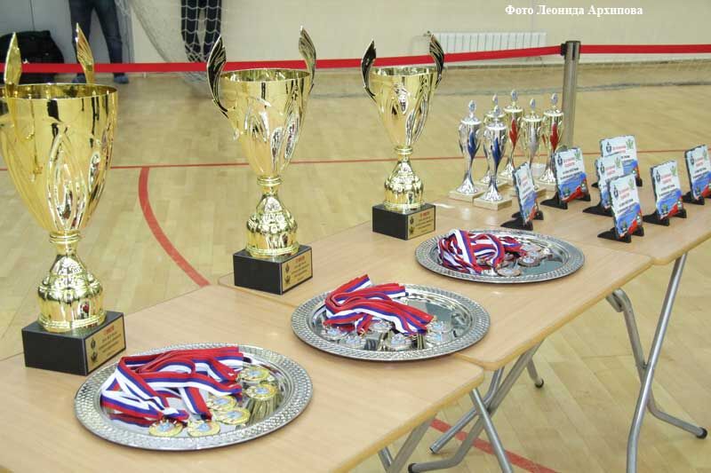 В Кургане завершился турнир по комплексному единоборству