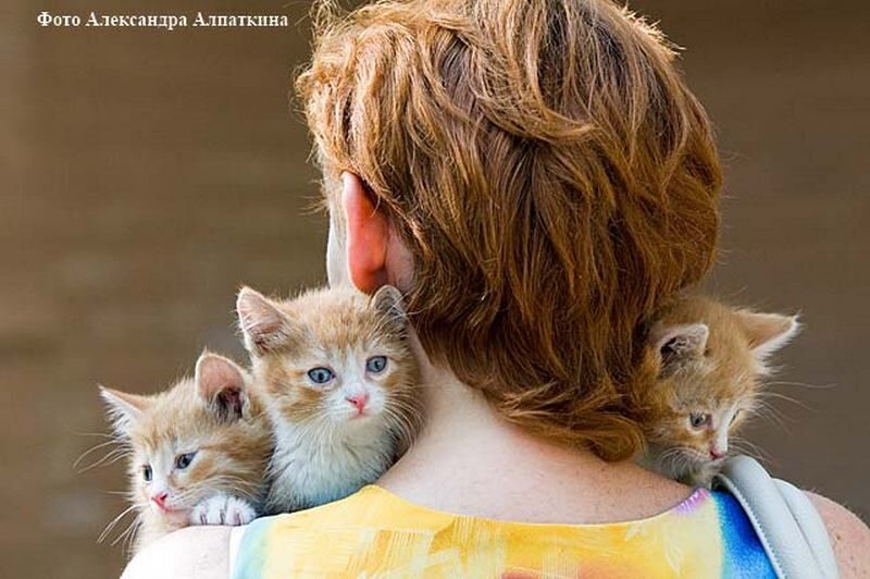 15 марта — День добрых дел