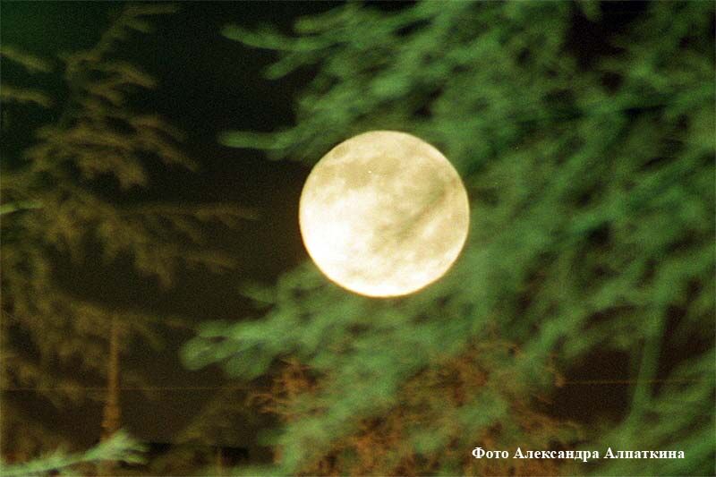 В Курганском краеведческом музее пройдет «Ночь туризма»