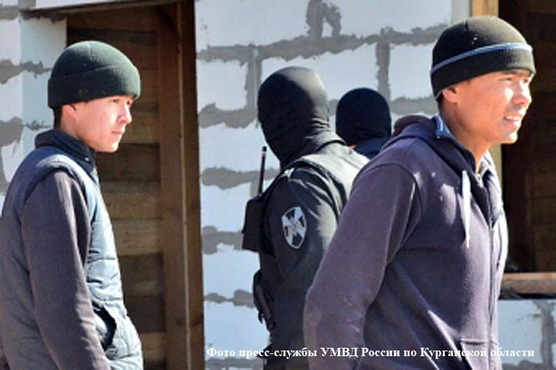 За год из Курганской области выдворили почти 300 нелегальных мигрантов