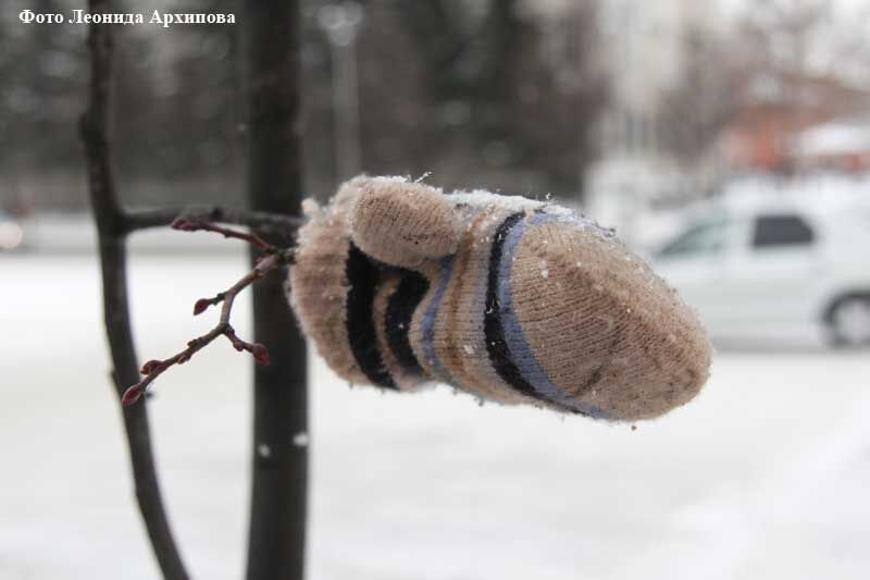 В прошлом году в Зауралье выявлено 428 детей-сирот и детей, оставшихся без попечения родителей