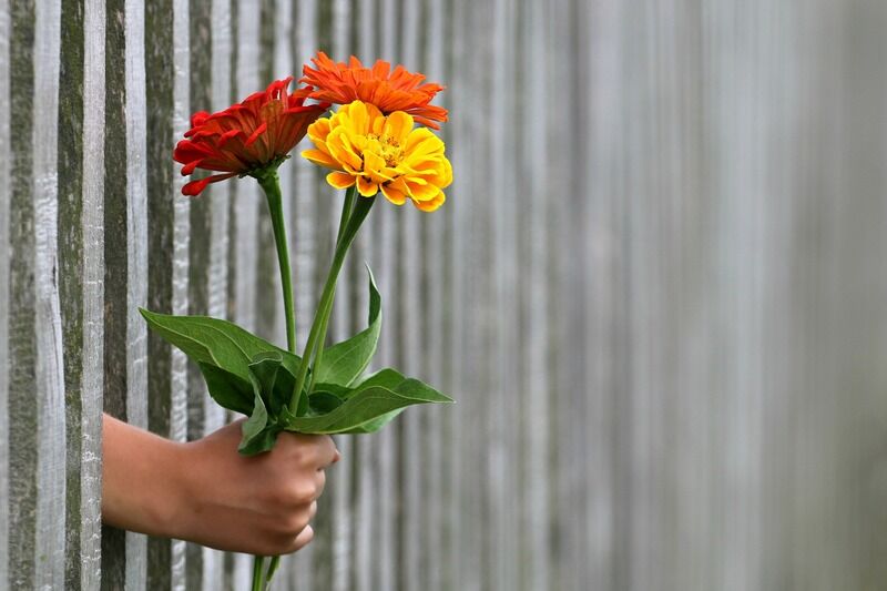 Ужин вместо сковородки