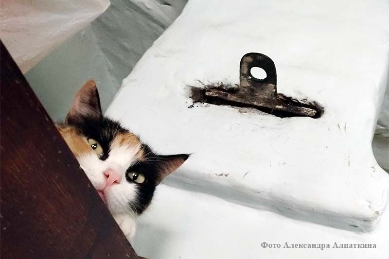 Прокуратура Курганской области до 9 января принимает от жителей Зауралья жалобы на работу ЖКХ