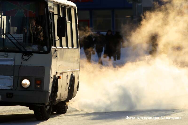 Заявление главы Кургана Елены Ситниковой по ситуации с повышением стоимости проезда в общественном транспорте